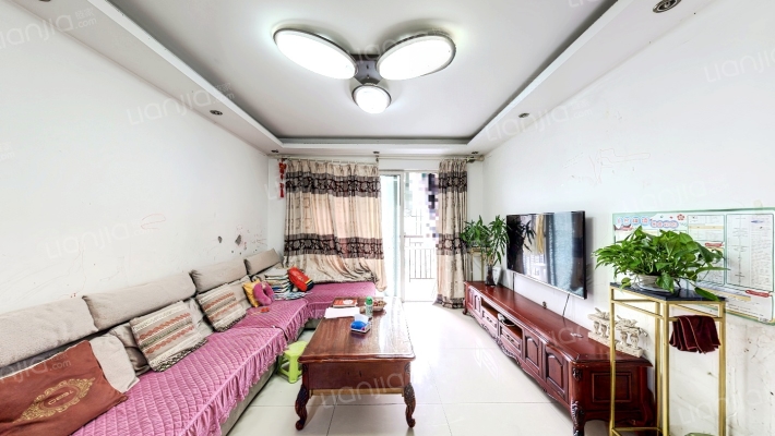 盾安九龙城二手房实景图