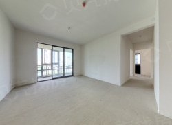 整租·天府公园未来城星幕南区 4室2厅 东南_天府公园未来城星幕南区租房