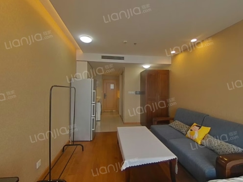 整租·苏州城市生活广场 1室0厅 南