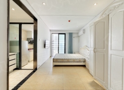 整租·中港白金大厦 1室1厅 南_中港白金大厦租房