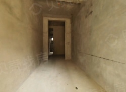 整租·碧桂园·阅江府 1室1厅 南_碧桂园·阅江府租房