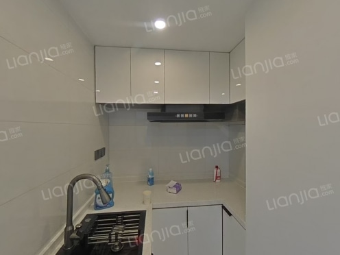 整租·金沙国际 1室1厅 南