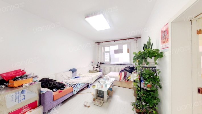 东岭南街教师楼二手房实景图