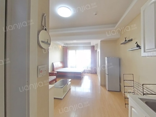 整租·合景领峰 1室1厅 东