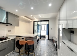 整租·银洲金融中心 1室1厅 南_银洲金融中心租房