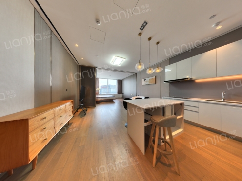 整租·九龙仓苏州国际金融中心 1室1厅 北