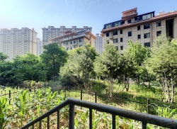 整租·紫城·秦皇半岛 3室2厅 南/北_紫城·秦皇半岛租房