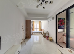 整租·新天地 1室1厅 南_新天地租房