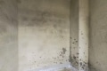 名扬汇峰 4室2厅 南