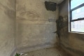 半山四季 4室2厅 南 北