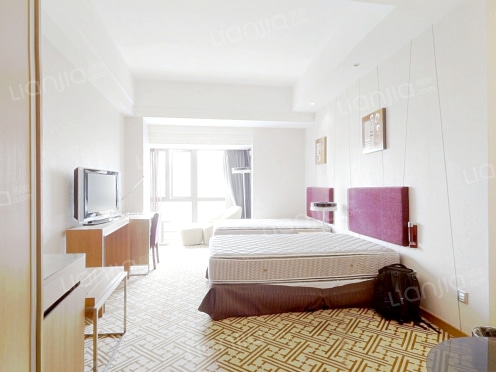 整租·雅戈尔YAKR公馆 1室1厅 南