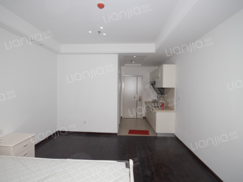 整租·阳光时代 1室1厅 东南