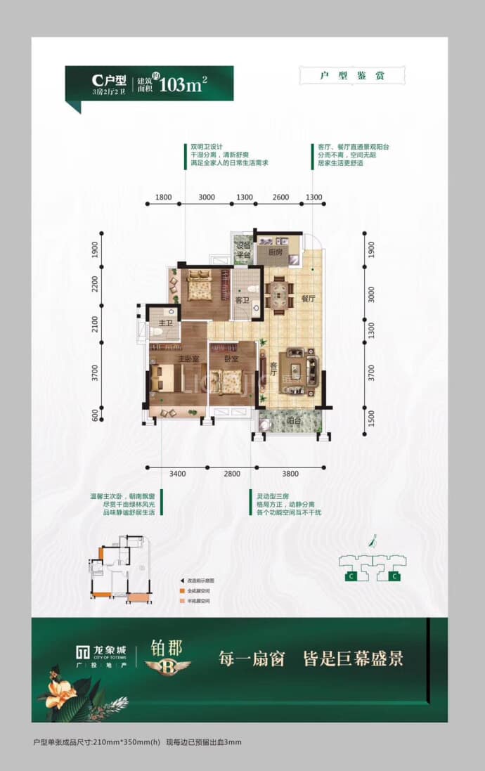 广投龙象城--建面 103m²