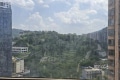 桂花苑 1室1厅 南