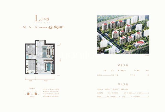 兴桐鑫城--建面 43.89m²