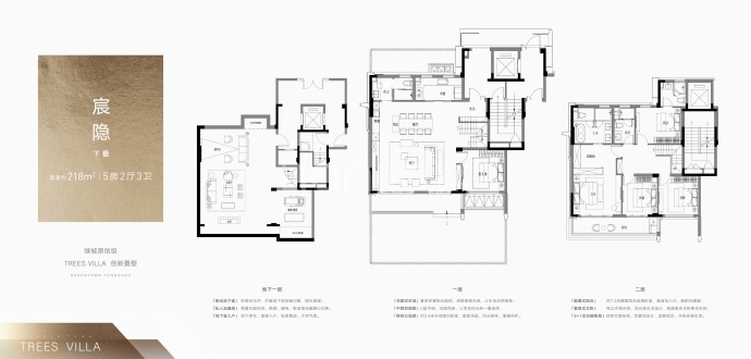 绿城湖境和庐--建面 218m²