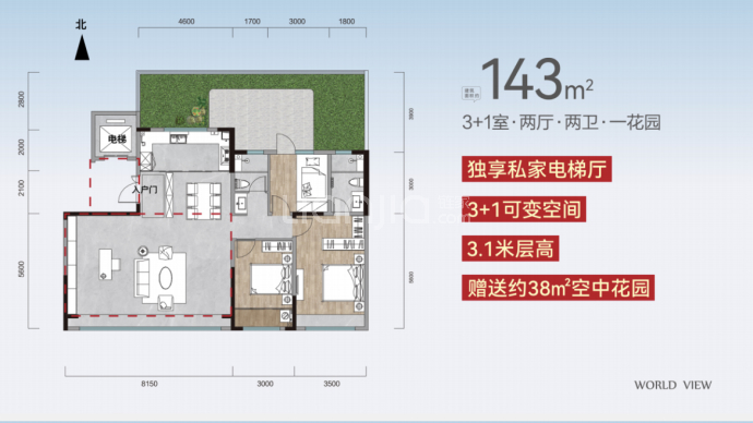 森林星玥--建面 143m²