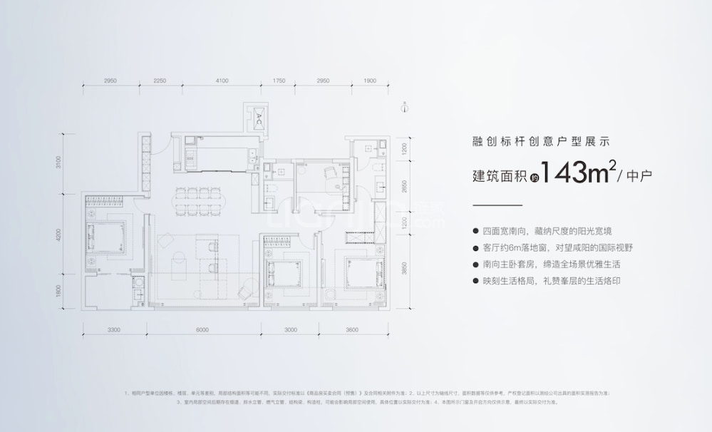 点评图