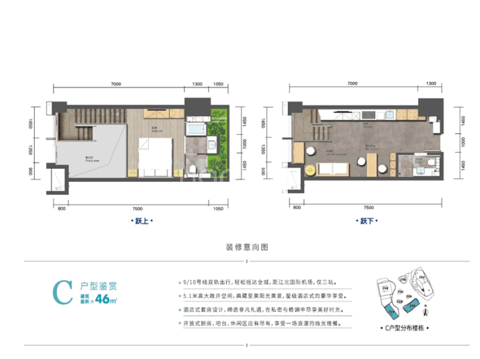 飞洋创拓两港中心--建面 46m²