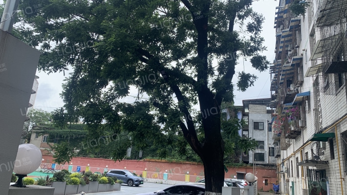 西大街221号外景图