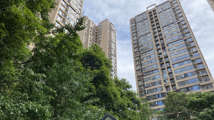 皇城花卉外景图