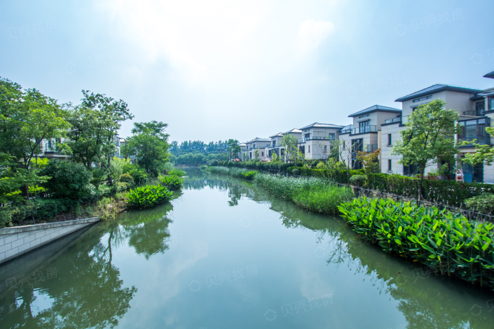 颐湾丽庭实景图