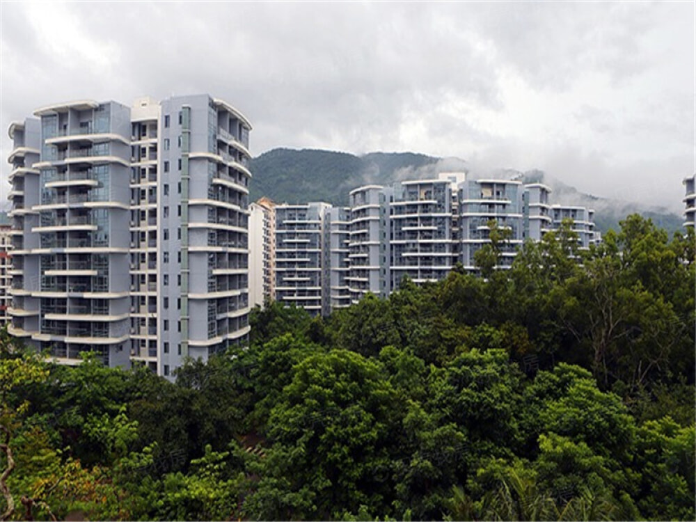 森林湖实景图