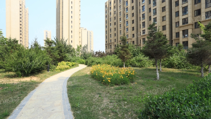 金宸联郡外景图