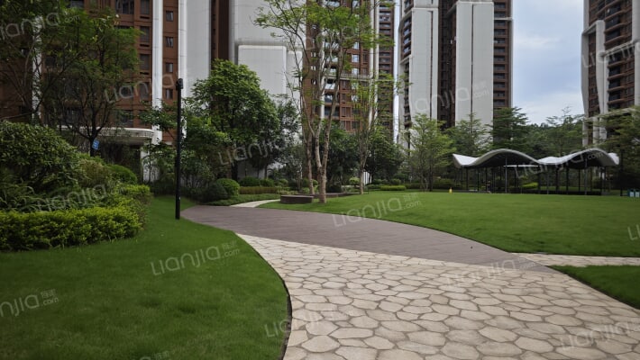 实地蔷薇国际外景图