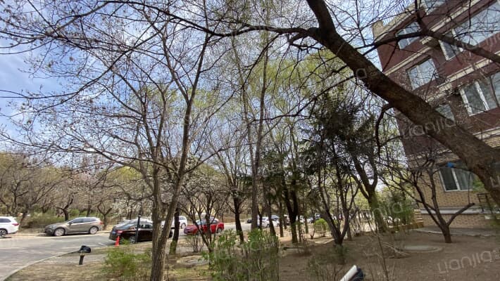 香格里拉外景图