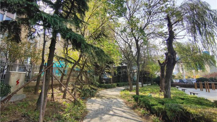 金星滨海花园二期外景图