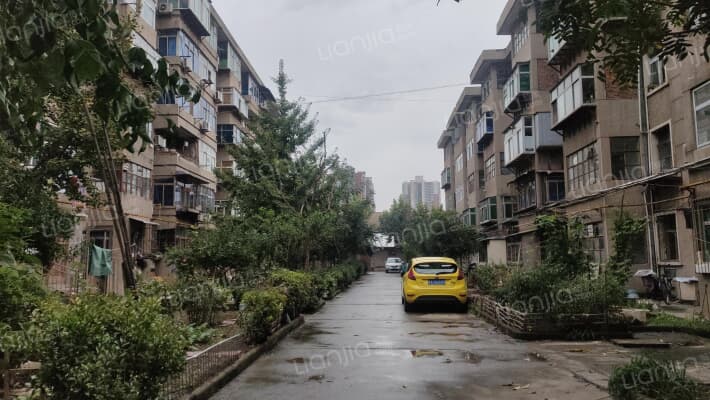 五三三东家属院外景图