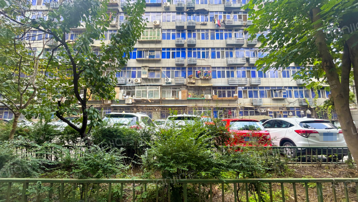 红华仪器厂家属院外景图