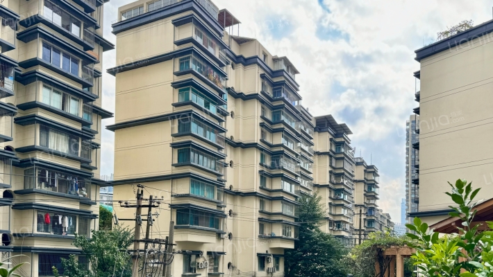 新添大道南段145号外景图