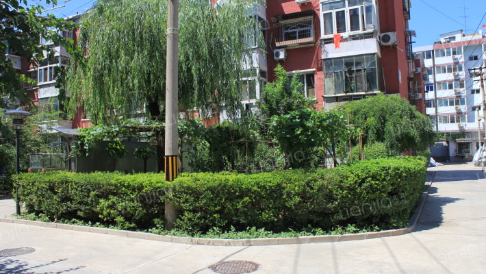 小黄庄前街13号院外景图