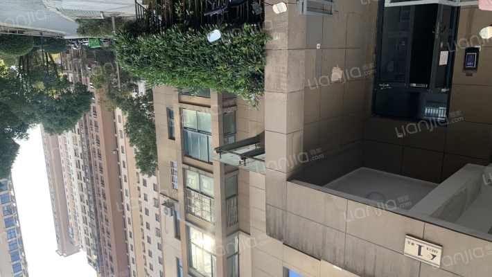 中城花园虹梅苑外景图