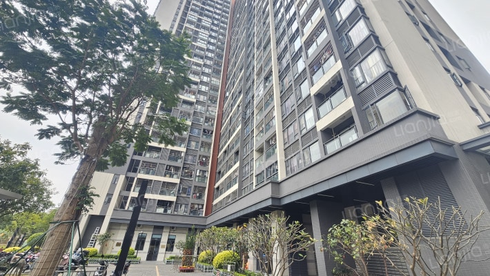 中洲理想仓外景图