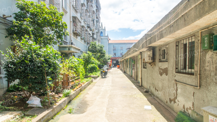 振兴东路236号外景图