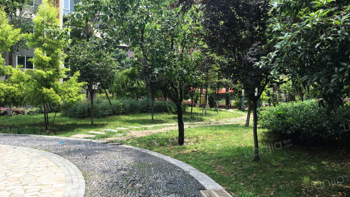 文星花园外景图