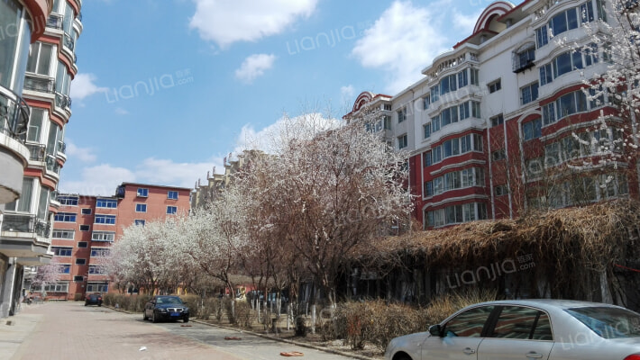 三隆碧桂园外景图