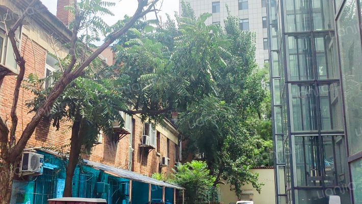 历山路38-1号外景图