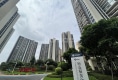 碧桂园四季阳光户型图实景图