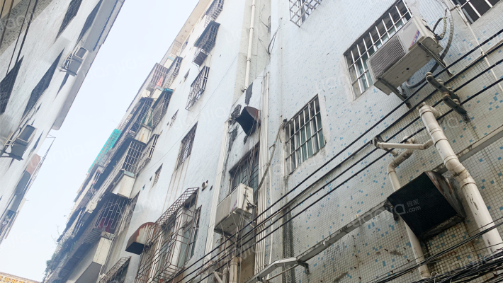 环市北路外景图