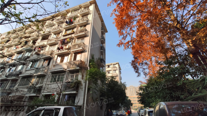 花园西村外景图