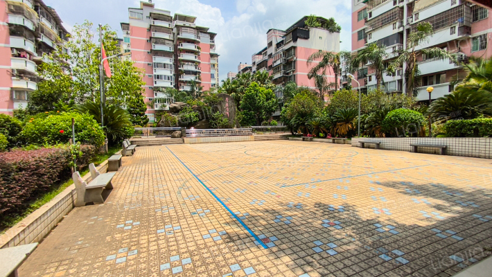 王庄荷园外景图