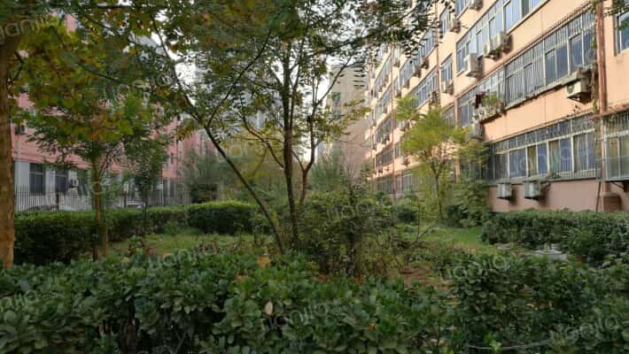 市人大宿舍外景图