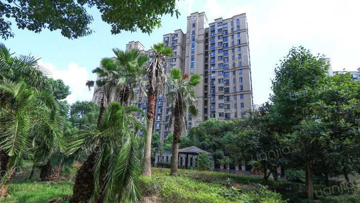 和欣国际花园外景图