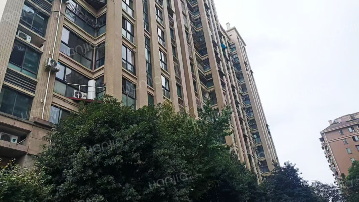 竹林风华外景图