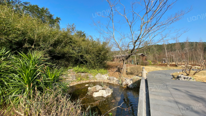 绿地拾野川外景图
