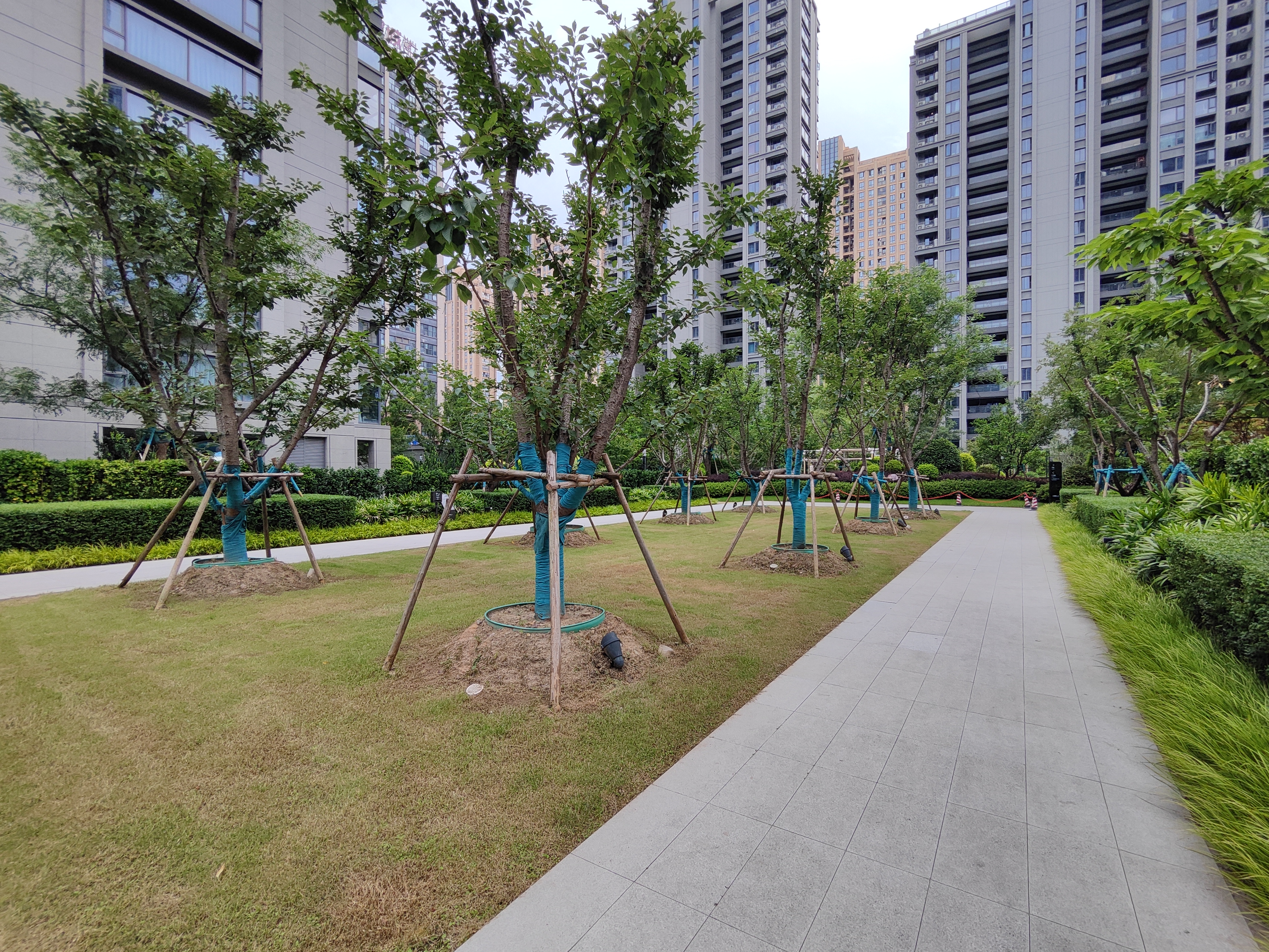  compound photo 3